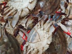 -宾朋海鲜特色美食餐厅·纯手工鲅鱼水饺(兴海路店)