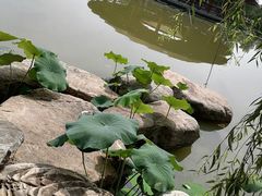 -西安浐灞国家湿地公园