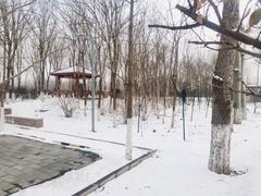 -东郊湿地公园