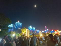 -莲花山公园