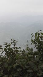 -小米熊儿童医院