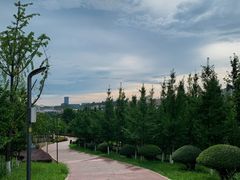 -安宁市宁湖森林公园
