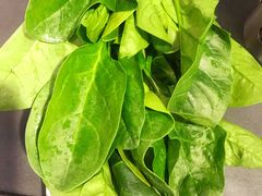-食潮汕头鲜牛馆(望京保利店)