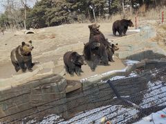 -沈阳森林动物园