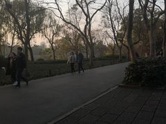 -苏堤停车场