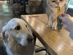 -咖法森林·咖啡  酒吧(天河店)