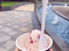 -哈根达斯(宁波和义店)