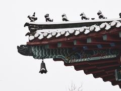 -山东大学(洪家楼校区)