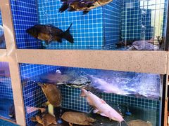 -呷湘厨·鱼汤捞饭·剁椒鱼头·辣椒炒肉(国家会展中心店)