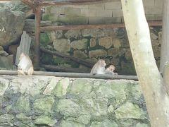 -罗田天堂寨风景区