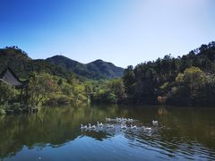 -黄陂区野村谷景区