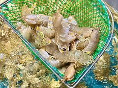 -好兄弟郭巨海鲜(天一阁店)