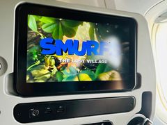 -新加坡航空公司(ION)