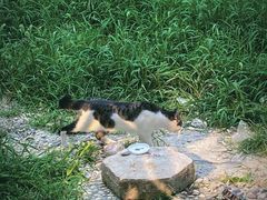 -木渎古镇