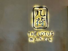-几荷·恰似故人来(秀水广场店)