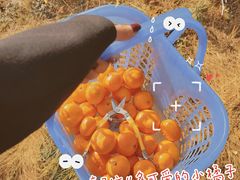 -青龙山国家森林公园
