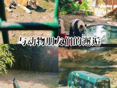 -深圳野生动物园