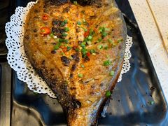 -九府羊·鲜羊火锅·烤串(新华路店)