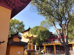 -会龙寺
