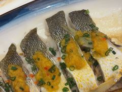-北海渔村酒楼·粤菜海鲜点心(新华店)