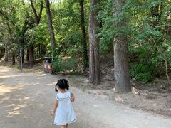 -白水寺森林公园