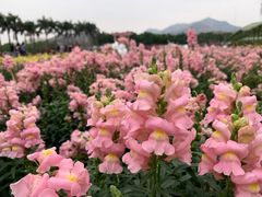 -盈香心动乐园
