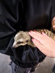 -Zoolung Zoolung动物主题公园(海信广场店)