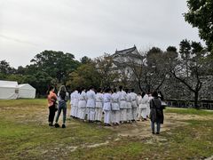 -名古屋城