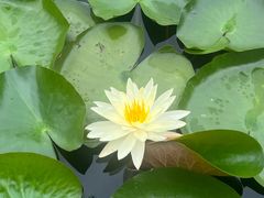 -白鹭湾湿地公园