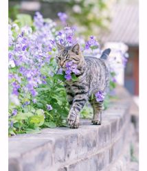 -Oasis Beauty水磨坊科技美肤中心