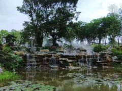 -东莞植物园