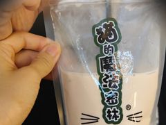 -猫的魔法密林(衣裳街店)