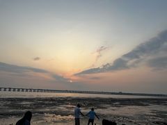 -宝安西湾红树林湿地公园