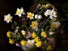 -荷兰布尔玛国际花艺学院