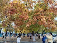 -辽宁大学(崇山校区)