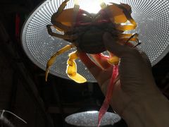 -都斛海鲜街