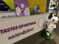 -一只酸奶牛(海南友谊阳光城店)