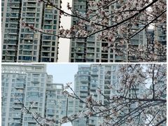 -西北湖绿化广场