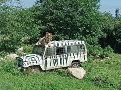 -西安秦岭野生动物园