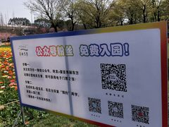 -秀丽东方