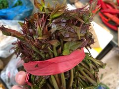 嫩香椿-重振华中蔬菜批发市场(重庆中路店)