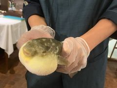 -肆月河豚·新淮扬(金融街店)