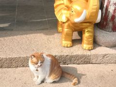 -无锡梅园公园