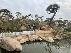 -罗红摄影艺术馆