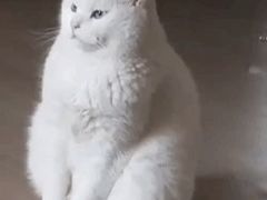 -肯德基(孝陵卫地铁站店)