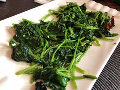 菠菜-拉萨厨房