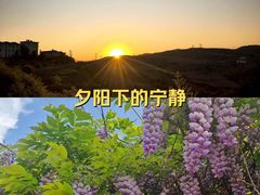 -长虫山生态公园风景林