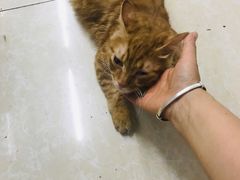 -金二烤肉(早慈巷小区店)