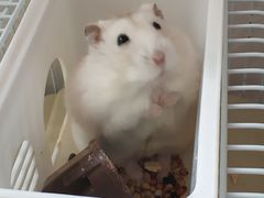-河风精致寿司(尼盛店)