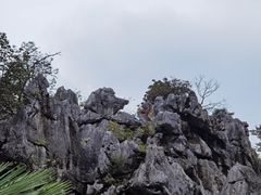 -千岛湖石林